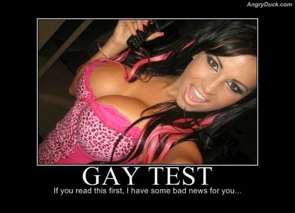 Gay Test