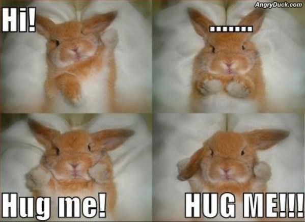 Hug Me Now