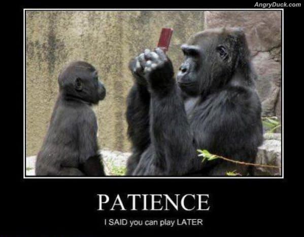 Patience