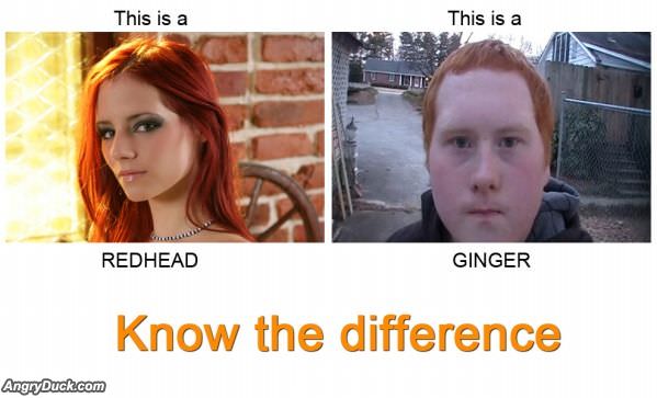 Redhead Vs Ginger