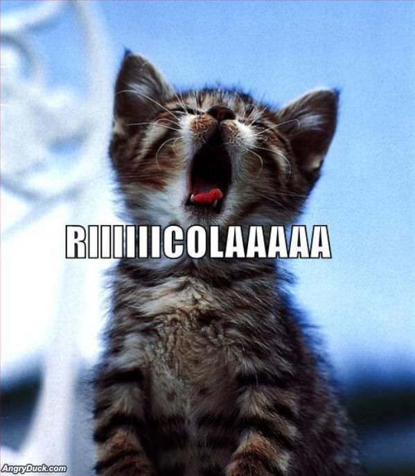 Riiiiiicolaaaaaa