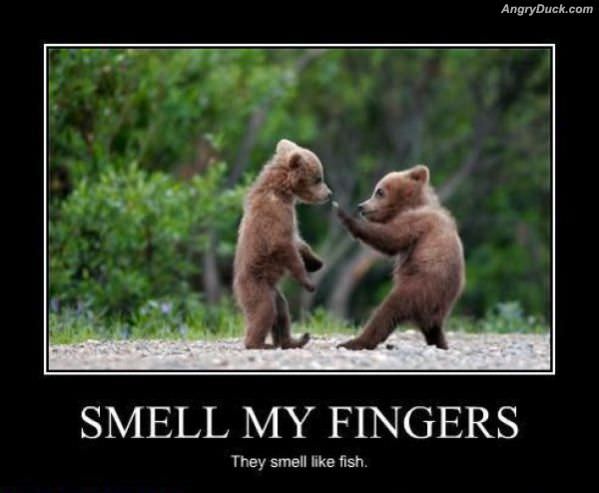 Smell My Fingers