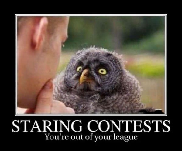 Staring Contest