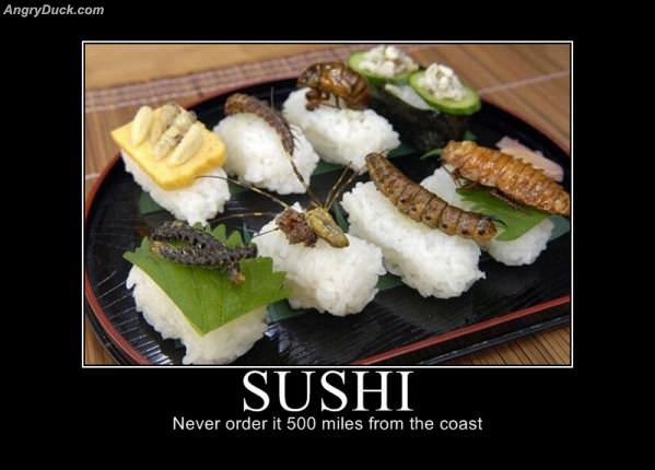 Sushi