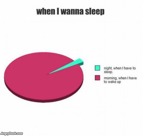 When I Wanna Sleep