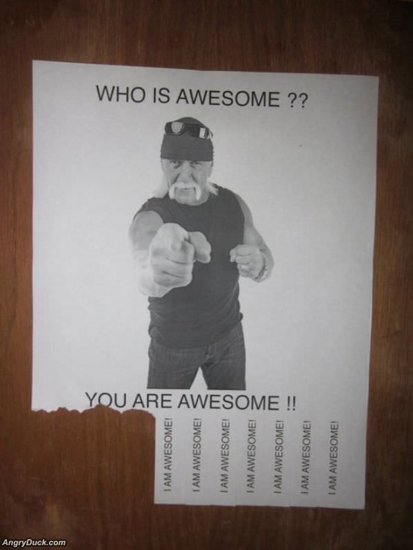 Who Is Awesome