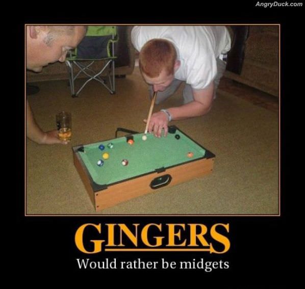 Gingers