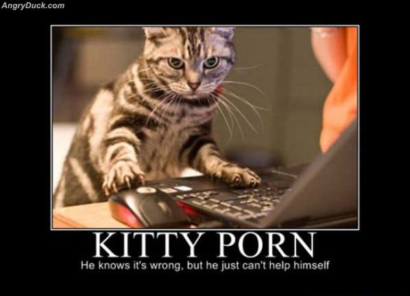 Kitty Porn