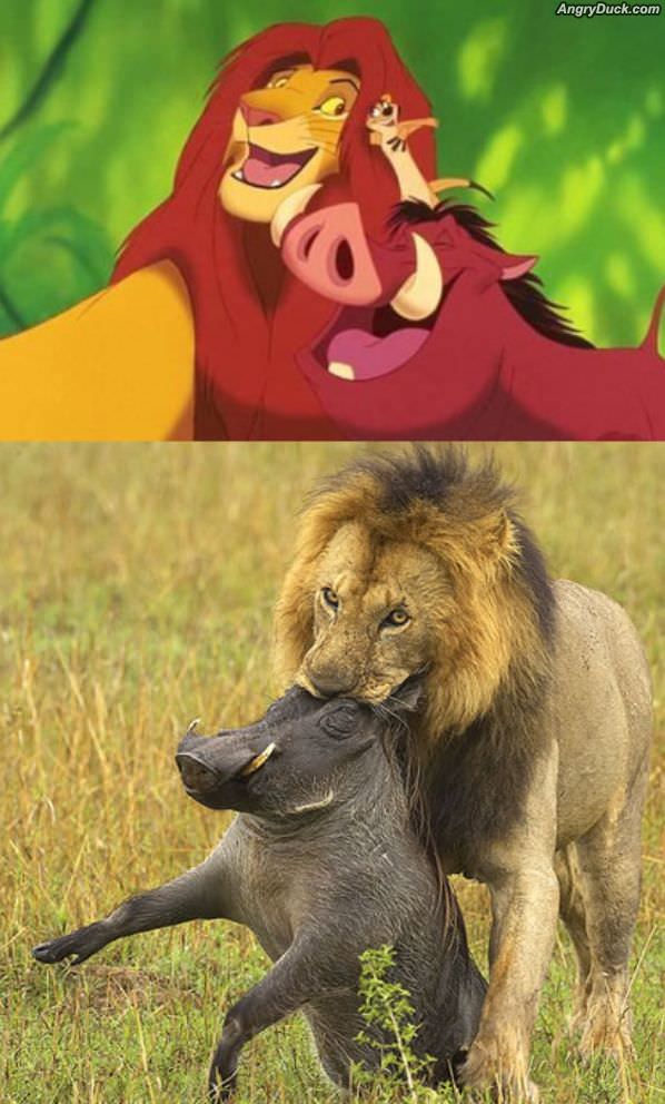 Simba And Pumbaa