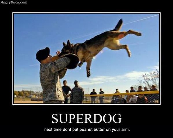 Superdog