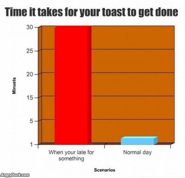 Toast