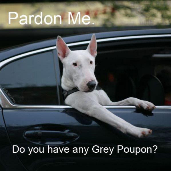 Pardon Me Grey Poupon