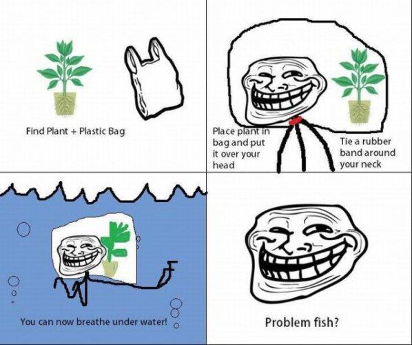 Problem Fish