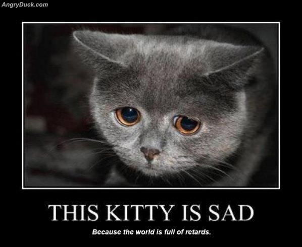 This Kitty Is Sad