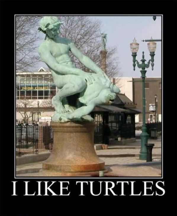 I Like Turtles