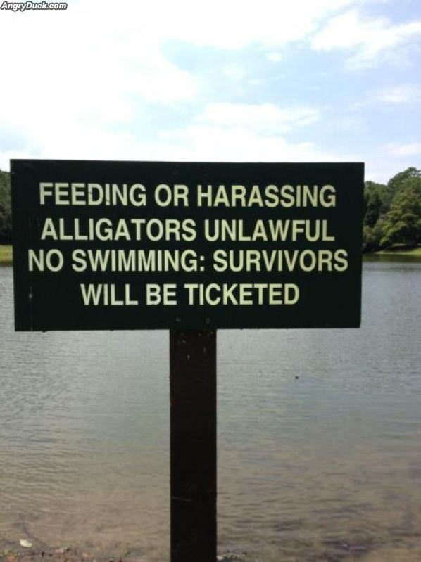 No Swimming With Alligators