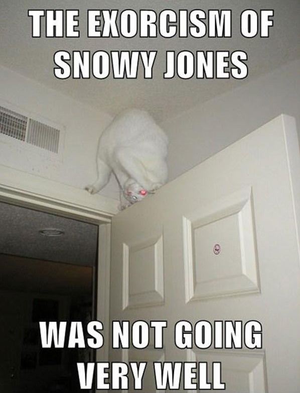 Snowy Jones