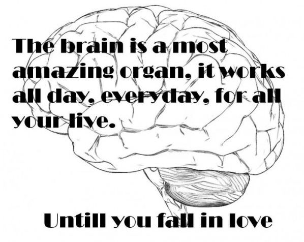 The Brain