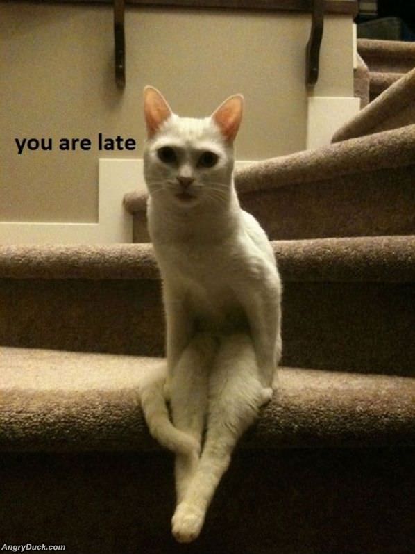 You Are Late