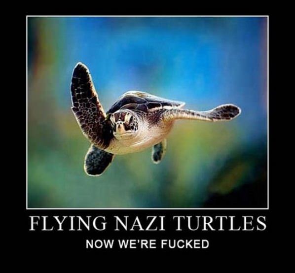 Flying Nazi Turtles