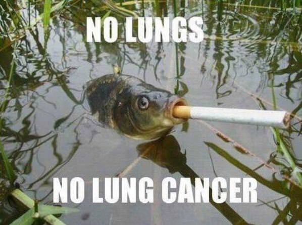 No Lungs