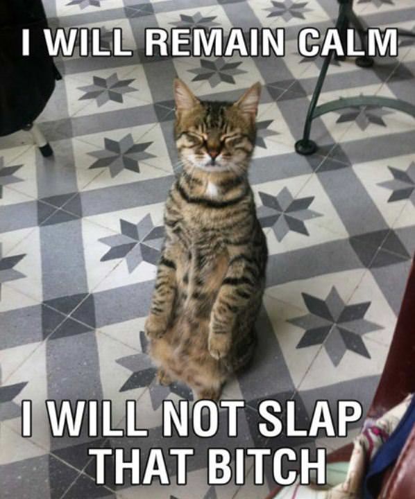 Remain Calm