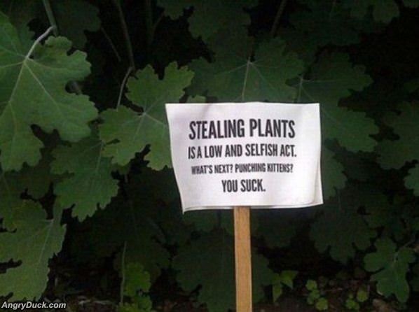 Stealing Plants