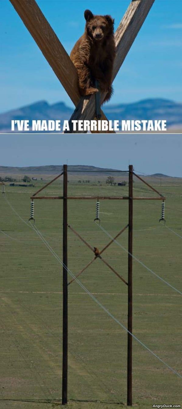 Terrible Mistake