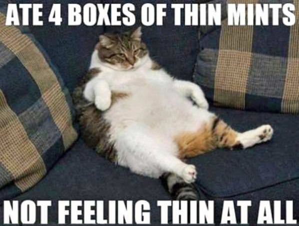 Thin Mints