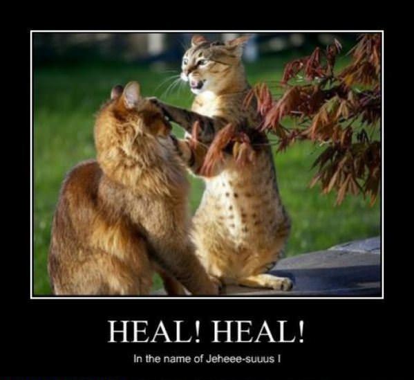 Healer Cat