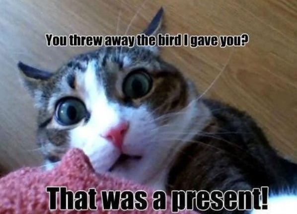 That Was A Present