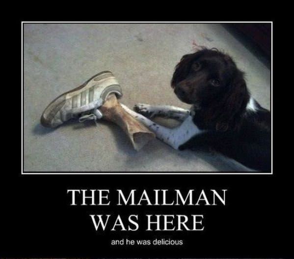 The Mailman