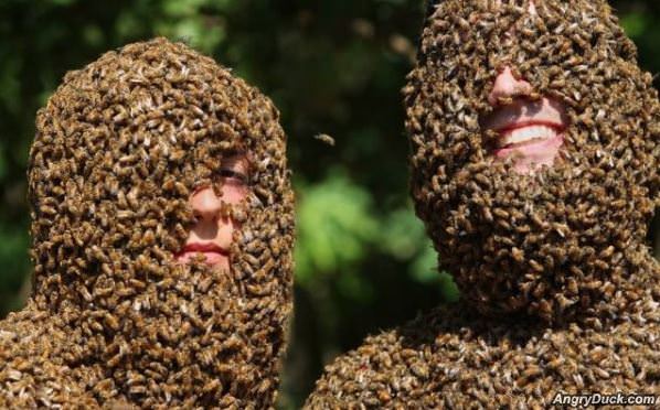 Covered In Bees