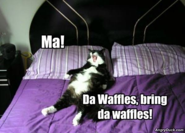 Da Waffles