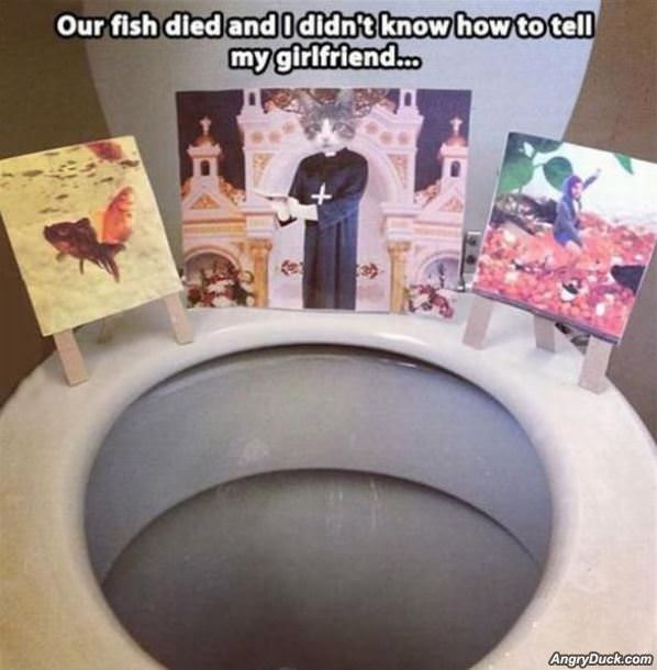 Fish Died