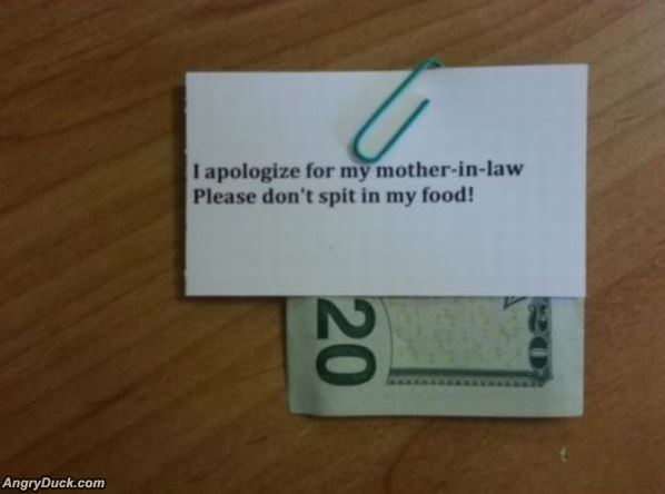 Motherinlaw Apology