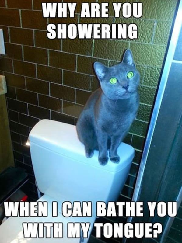 Why Are You Showering