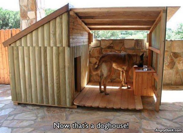 Nice Dog House