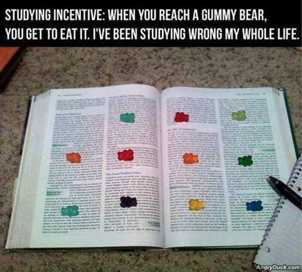 Studying Incentive