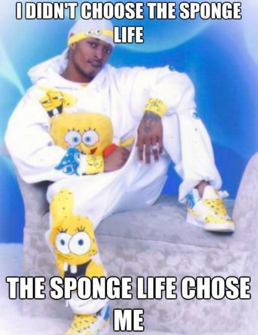 The Sponge Life