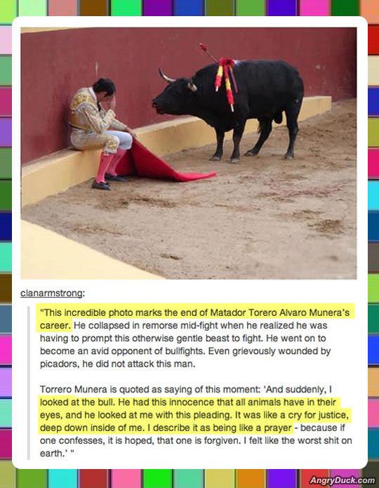 Torero Alvaro