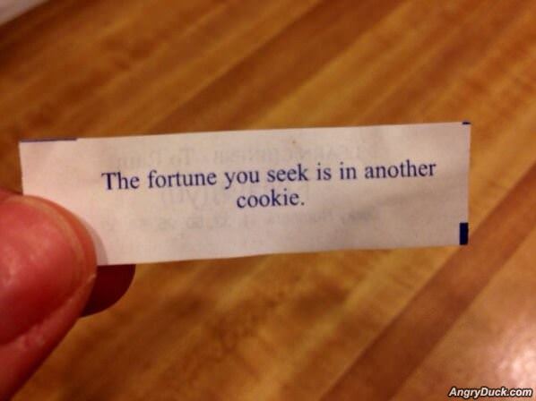 The Fortune You Seek