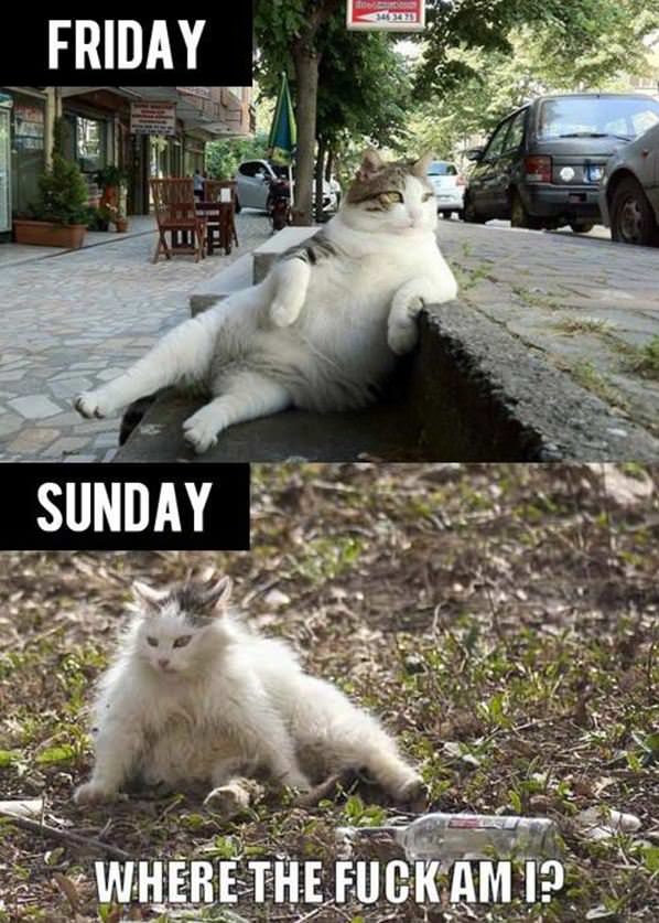 Friday Vs Sunday