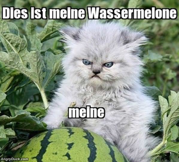 Meine Watermelon