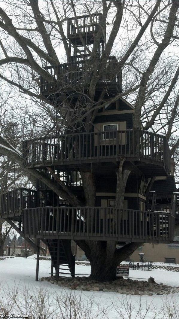 Ridiculous Tree House