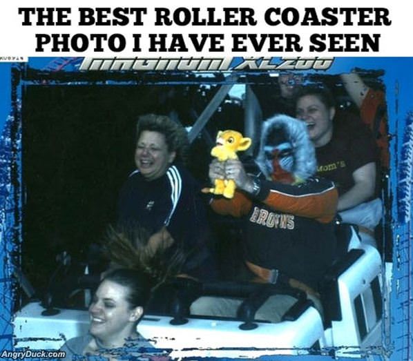 Roller Coaster Photo