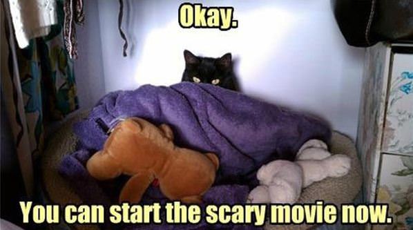 Scary Movie Time