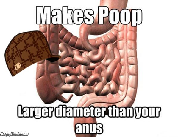 Scumbag Digestive System