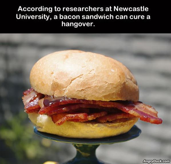 Bacon Sandwich