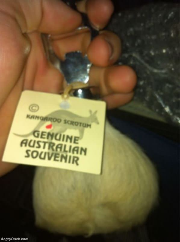 Genuine Australian Souvenir